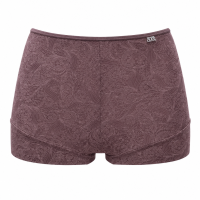 38119 - Avet boxer Barroco bruin